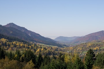 Colorful autumn leaves on the trees in nature. Slovakia