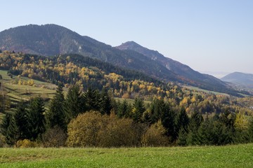 Fototapeta na wymiar Colorful autumn leaves on the trees in nature. Slovakia