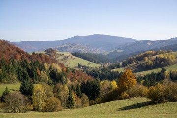 Fototapeta na wymiar Colorful autumn leaves on the trees in nature. Slovakia