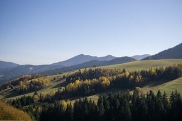 Colorful autumn leaves on the trees in nature. Slovakia