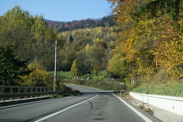 Street with colorful trees during autumn. Slovakia