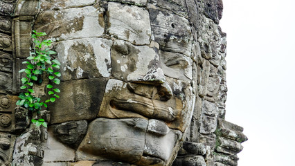 Face of Bayon Temple with green climber tree look like earring at Angkor Thom, Siem Reap, Cambia