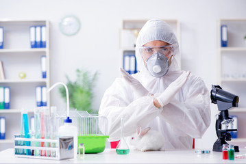 Scientist doing animal experiment in lab with rabbit