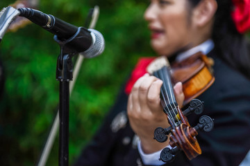 Mariachi Violin Player 