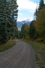 Fototapeta na wymiar Fall Colors in the Rocky Mountains