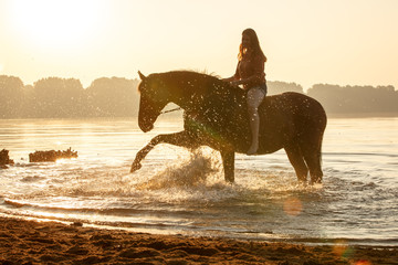 Pferd im Sonnenaufgang im See
