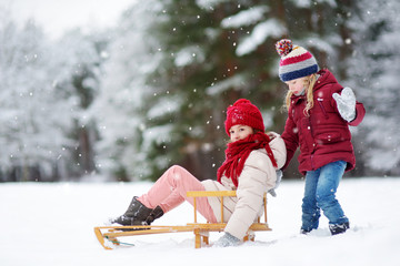 Two funny little girls having fun with a sleight in beautiful winter park. Cute children playing in a snow.