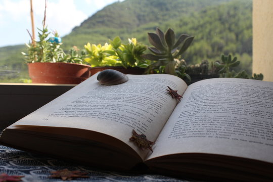 libro