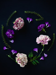 Winter mood flower vignette, pale pink and purple carnations, black background