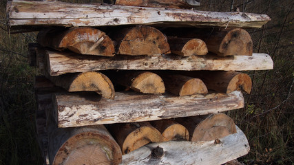 Firewoodpile