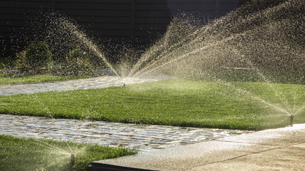 A rotating sprinkler spraying a water into the backyard - obrazy, fototapety, plakaty
