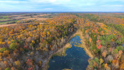 Naklejka premium Aerial View of a Marsh and trees in Fall Colours