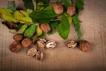 Walnuts (Juglans regia) on a wooden table