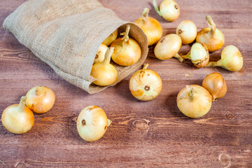 various fresh onions on a wooden table. wallpaper for grocery shopping and cooking food concept