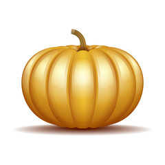 Orange autumn pumpkin icon
