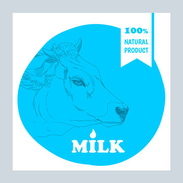 sticker with the picture of the cow. Milk. 100% natural product. Vector