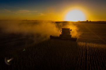 Silhouette of harvest