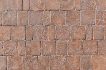 Texture of red bricks