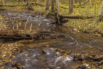 A wild river with broken trees acress the riverbed in the autumn