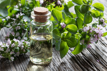 A bottle of oregano essential oil with blooming oregano plant