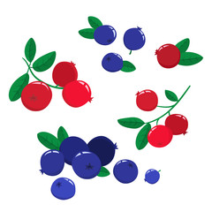 Vector set cartoon cranberries and blueberries with green leaves