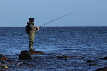 Meerforellen Angler mit Wathose auf Stein