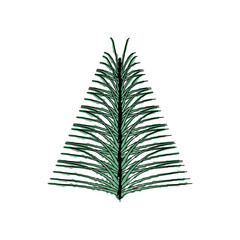 pine tree icon over white background vector illustration