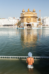 Pilgrims at the Golden Temple in Amritsar 2 - 177830259