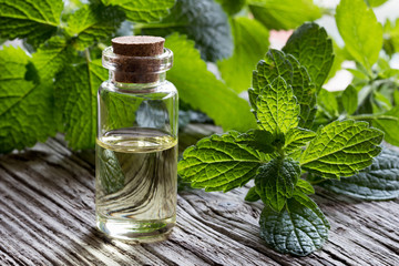 A bottle of melissa essential oil with fresh melissa twigs