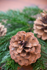 Christmas branches. Christmas greeting card. Symbol xmas.