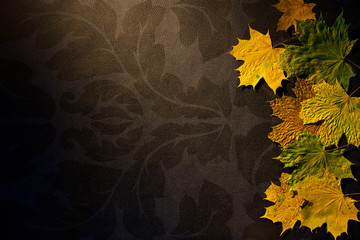 Autumn leaves on dark background