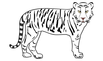 tiger silhouette image