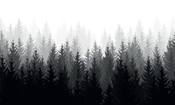 Vector landscape with grey silhouettes of coniferous trees in the mist