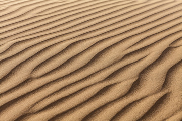 Sam Sand Dunes in the Thar Desert - 177831888