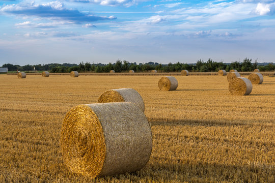 Wolken durchsetzter blauer Himmel &uuml;ber einem riesigen Feld mit goldgelben Strohballen
