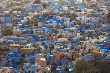 Jodhpur, the Blue City - 177832039
