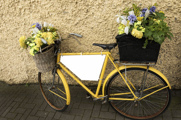 Mixed flowers in bicycle baskets