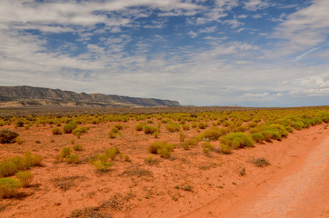 vast desert and distant slopes of Straight Cliffs under hot summer sun
Hole in the Rock Road, Escalante, Garfield County, Utah, USA