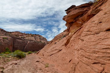 polished red walls of Coyote Gulch on Kaiparowits Plateau 
Grand Staircase Escalante National Monument, Garfield County, Utah, USA