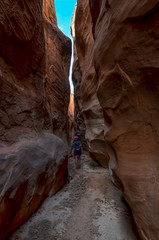 female hiker between the narrow walls of Peek-a-boo Slot Canyon 
Grand Staircase Escalante National Monument, Garfield County, Utah, USA
