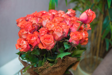 A bouquet of flowers bouquet of a hundred pink roses. Flower bouquet of 100 red roses