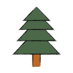 Fototapeta premium pine tree icon