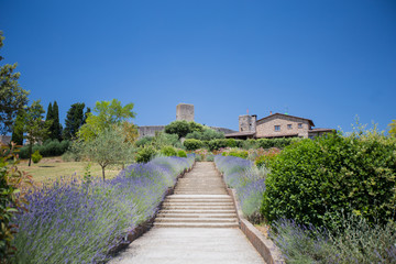 Fototapeta na wymiar Entrance to the castle of Monteriggioni, Tuscany, Italy.