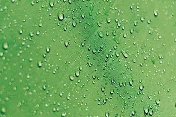 Drops of Water on a Green Surface