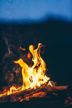 Close-up of camp fire