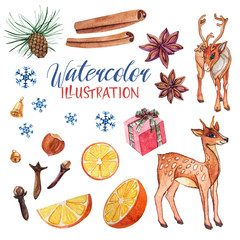 Set of watercolor illustration, isolated on a white isolated background