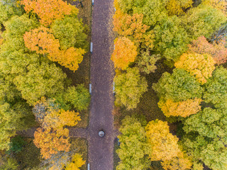 Aerial view of the autumn Catherine Park