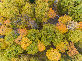 Aerial view of the autumn Catherine Park