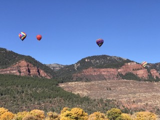 hot air balloons in flight