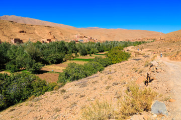 Landscape of a typical moroccan berber village with oasis in the valley